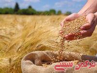 ادامه مطلب...