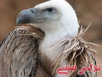 ادامه مطلب...