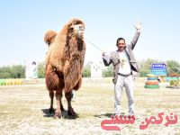 ادامه مطلب...