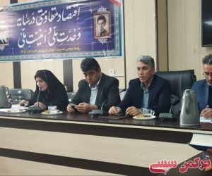 c_300_250_16777215_10_images_22bahmangollidagh_28321.jpeg